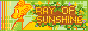 Ray of Sunshine